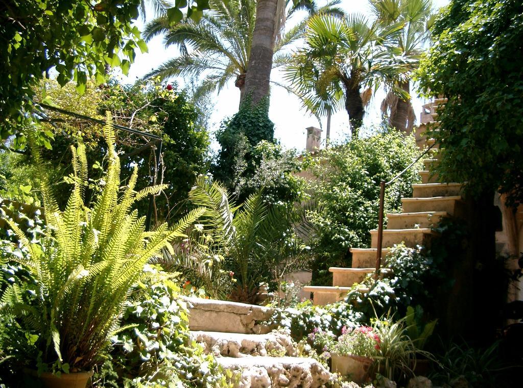 Bed & Breakfast Raims 4*